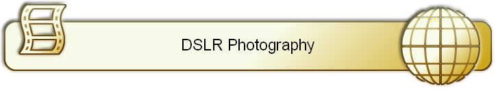 DSLR Photography
