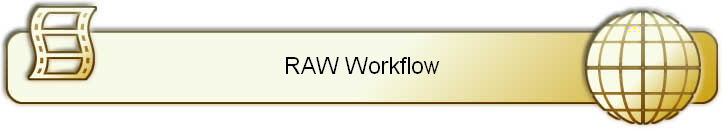 RAW Workflow
